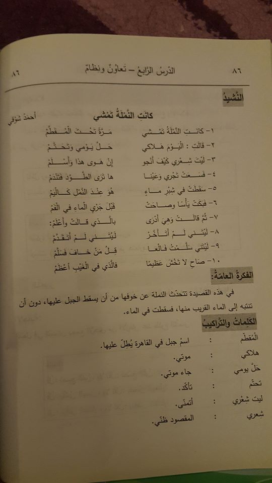 MzY2NzAyMQ707086 بالصور شرح قصيدة كانت النمله تمشي للشاعر احمد شوقي الدرس الرابع تعاون ونظام للصف الرابع الفصل الاول 2017